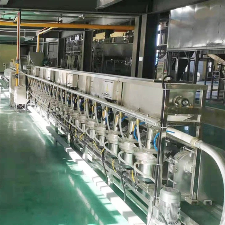 hazelnut machine plant
