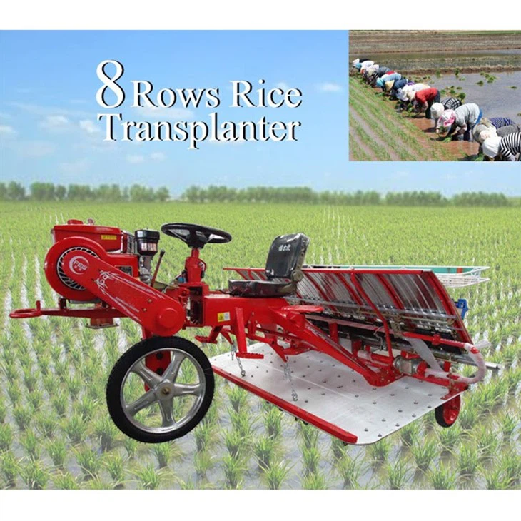 6 Row Rice Transplanter