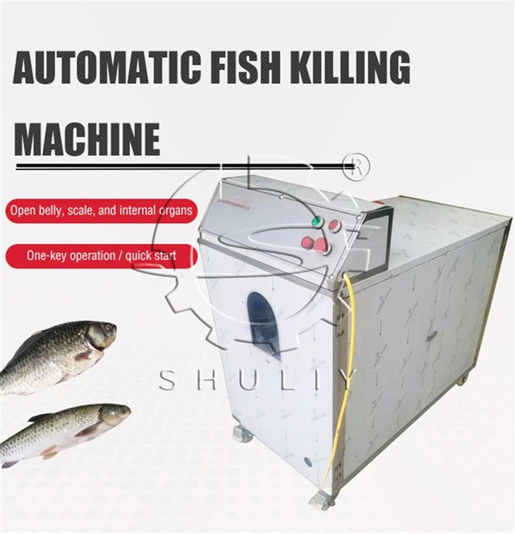 fish killing machine (1)