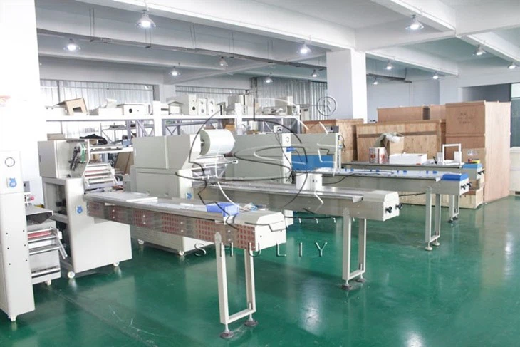 packaging machine (2)