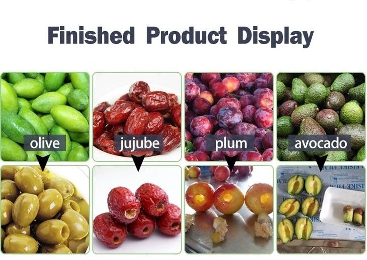 fruit pitting machine