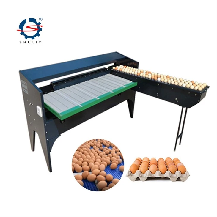 Egg Scale Grader