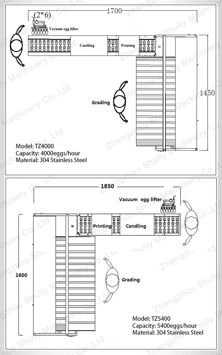egg sorter (2)